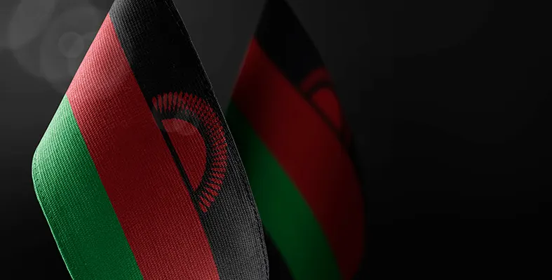 International Power Control Systems (IPCS) has been named as a distribution partner in Malawi by Vertiv, a specialist in critical digital infrastructure National_flag_of_Malawi